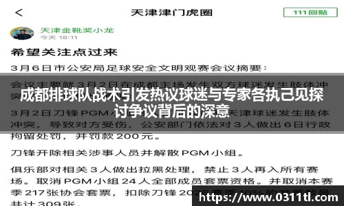 成都排球队战术引发热议球迷与专家各执己见探讨争议背后的深意